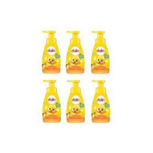 DALİN KÖPÜK SABUN ORMAN MEYVESİ KOKULU 200 ML